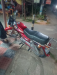 Dayang 50